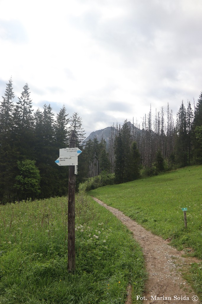 Giewont z Przysłopu Miętusiego