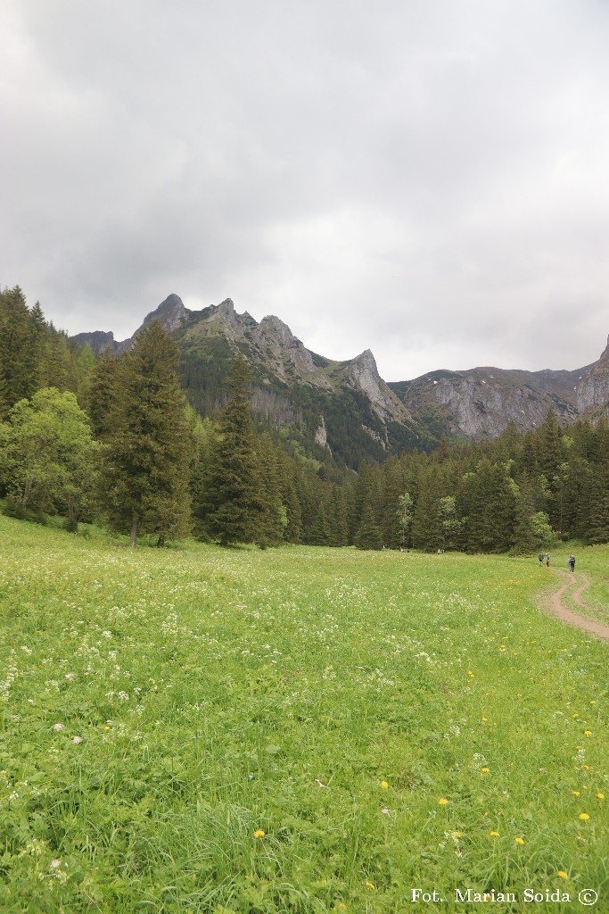 Giewont z Wielkiej Polany Małołąckiej