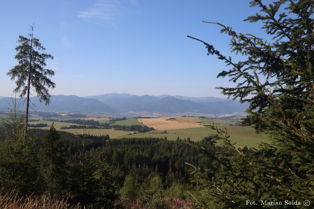 Widok na Niżne Tatry spod Gołego Wierchu